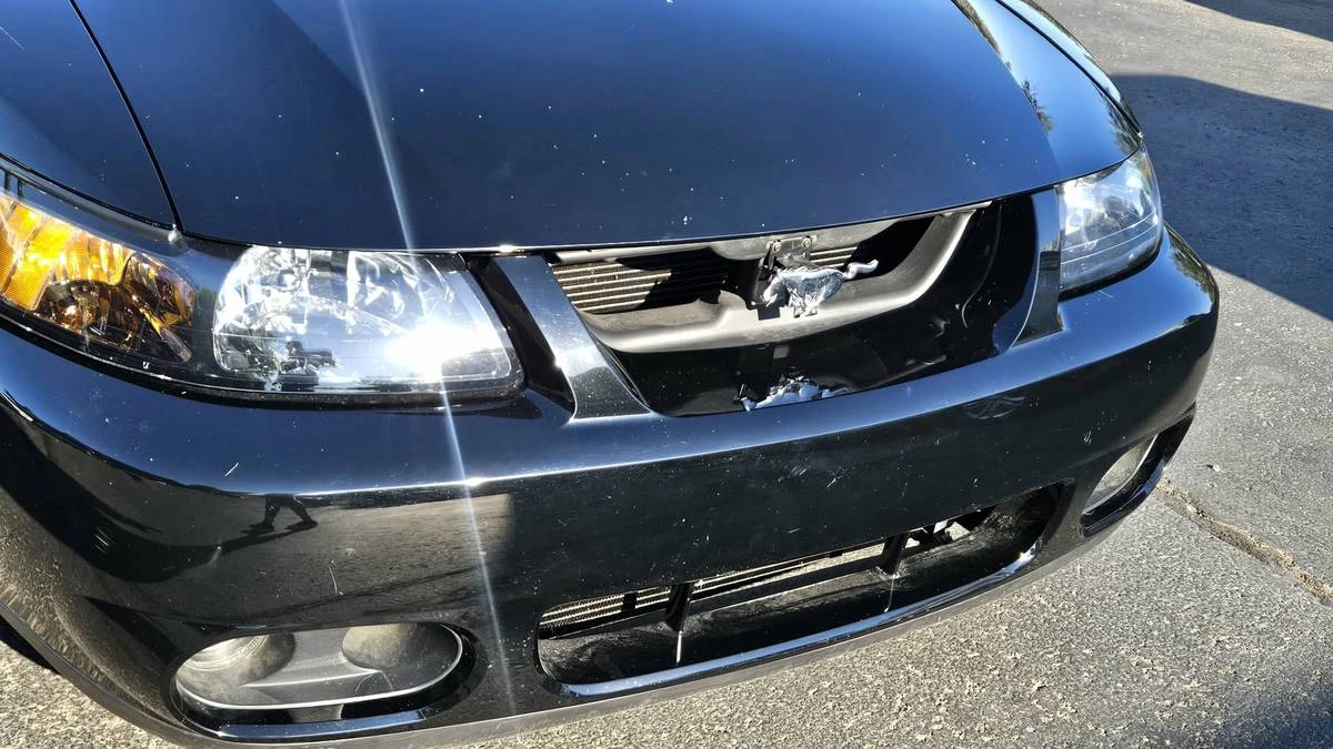 2003 Ford SN95 Mustang Cobra - Image 10 of 12