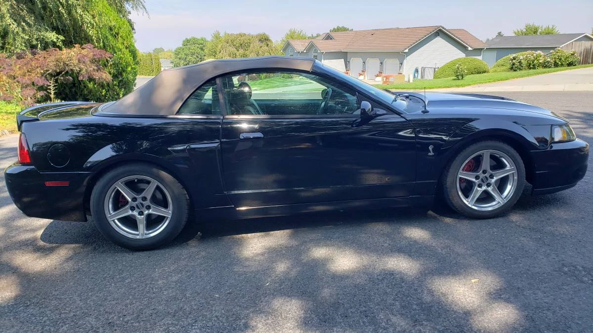 2003 Ford SN95 Mustang Cobra - Image 3 of 12