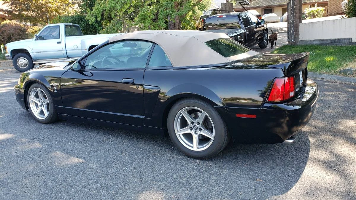 2003 Ford SN95 Mustang Cobra - Image 5 of 12