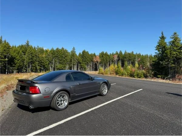 2003 Ford SN95 Mustang - Image 2 of 7