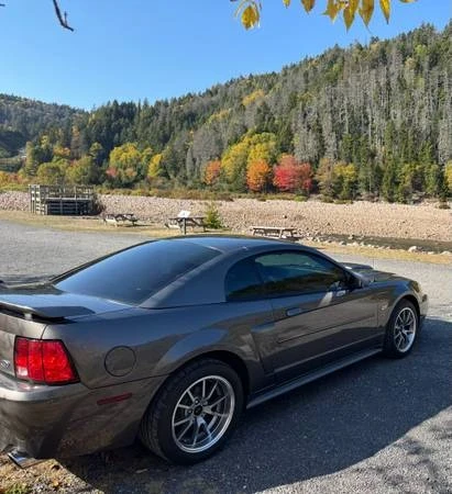 2003 Ford SN95 Mustang - Image 4 of 7