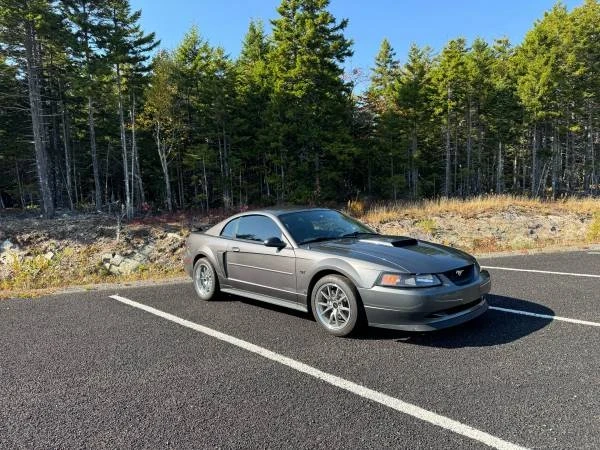 2003 Ford SN95 Mustang - Image 5 of 7