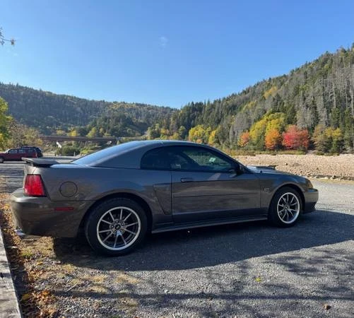 2003 Ford SN95 Mustang - Image 6 of 7