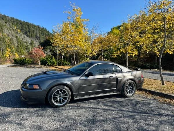 2003 Ford SN95 Mustang - Image 3 of 7