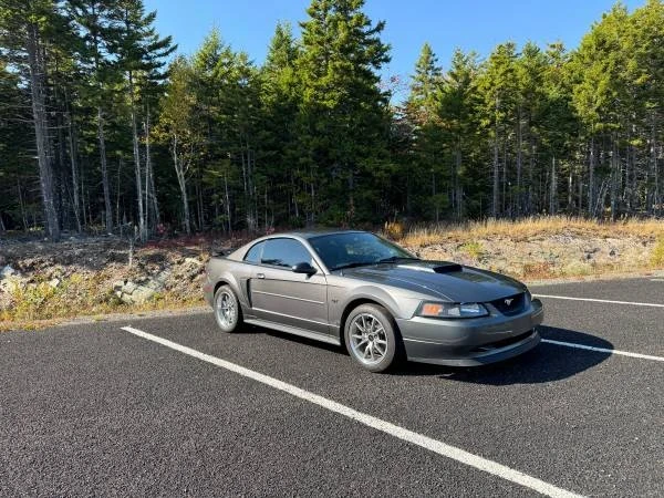 2003 Ford SN95 Mustang - Image 3 of 6