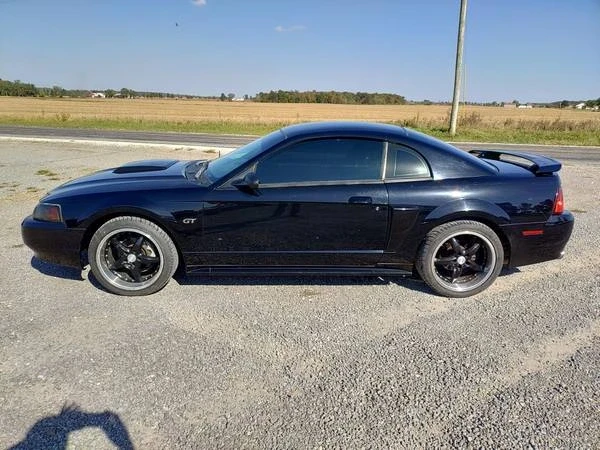 2003 Ford SN95 Mustang - Image 2 of 5