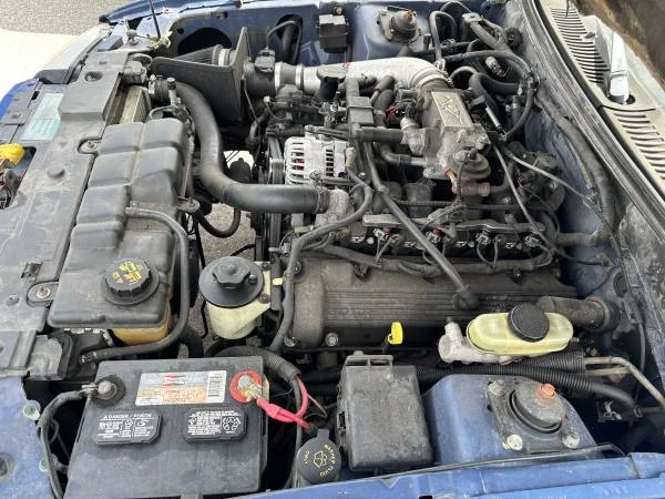 2003 Ford SN95 Mustang - Image 12 of 12