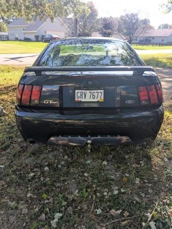 2003 Ford SN95 Mustang - Image 4 of 10