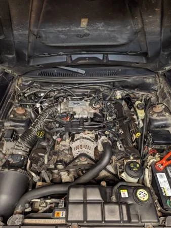 2003 Ford SN95 Mustang - Image 10 of 10