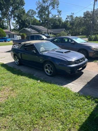 2003 Ford SN95 Mustang - Image 10 of 12