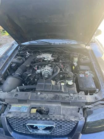 2003 Ford SN95 Mustang - Image 8 of 12