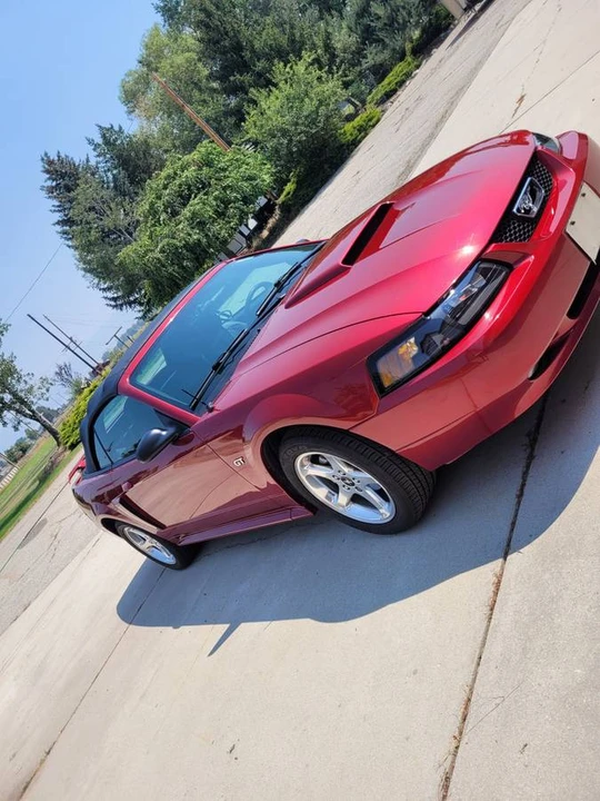 2003 Ford SN95 Mustang - Image 6 of 10