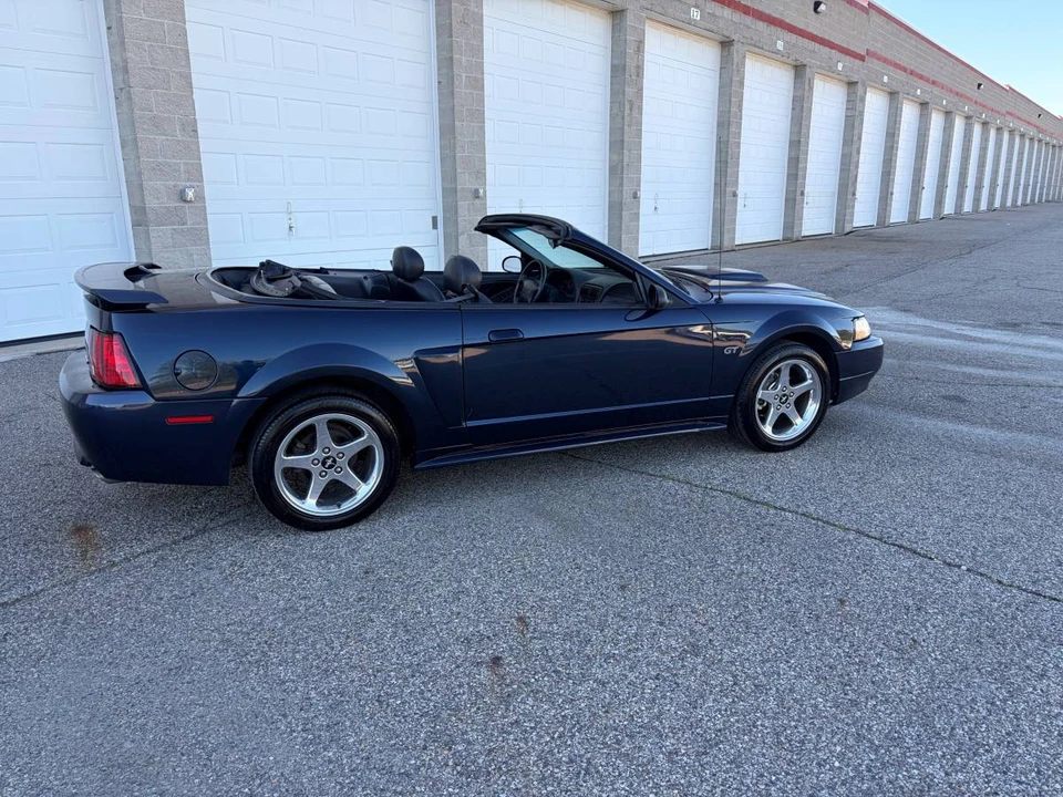 2003 Ford SN95 Mustang - Image 3 of 8