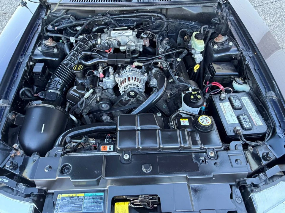 2003 Ford SN95 Mustang - Image 8 of 8