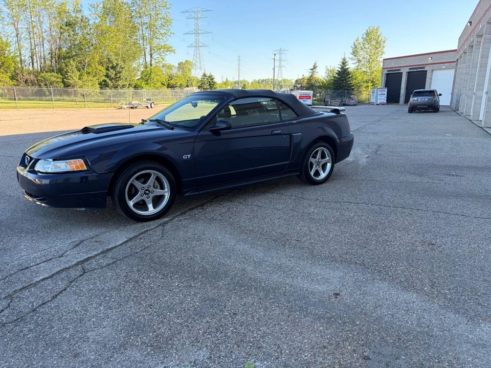 2003 Ford SN95 Mustang - Image 2 of 8