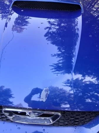 2003 Ford SN95 Mustang - Image 6 of 7
