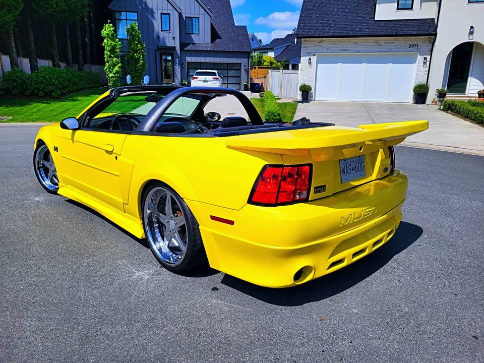 2003 Ford SN95 Mustang - Image 2 of 11