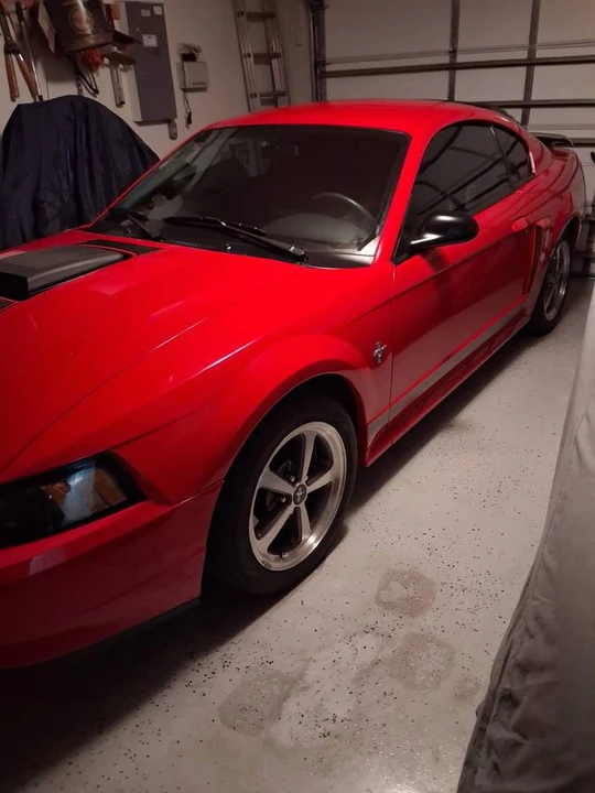 2003 Ford SN95 Mustang - Image 5 of 7