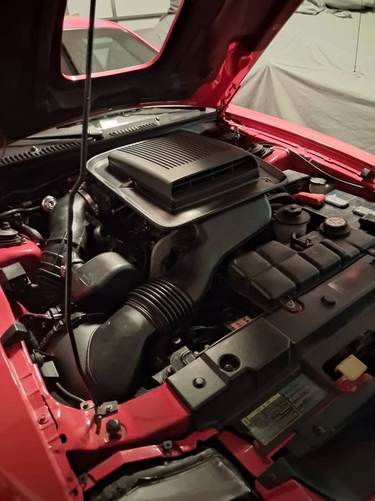 2003 Ford SN95 Mustang - Image 3 of 7