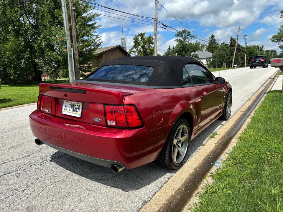 2003 Ford SN95 Mustang Cobra - Image 8 of 19