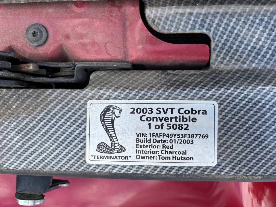 2003 Ford SN95 Mustang Cobra - Image 13 of 19