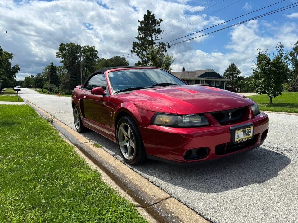 2003 Ford SN95 Mustang Cobra - Image 4 of 19