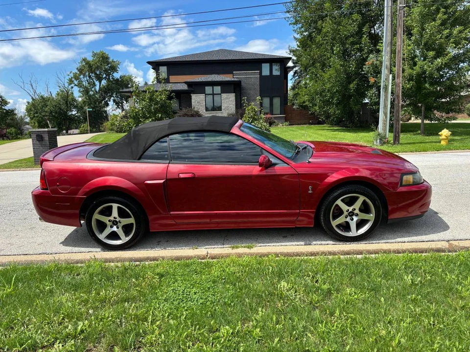 2003 Ford SN95 Mustang Cobra - Image 3 of 19