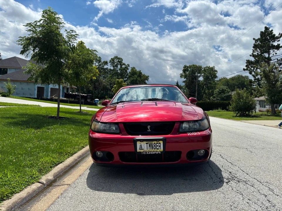 2003 Ford SN95 Mustang Cobra - Image 2 of 19