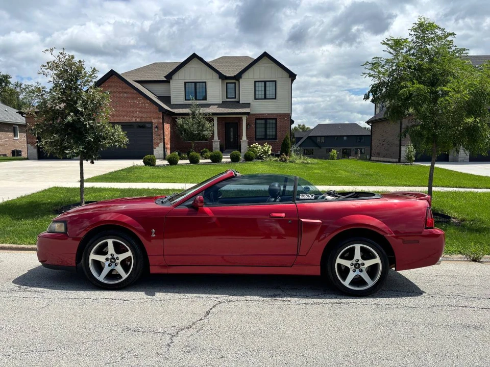 2003 Ford SN95 Mustang Cobra - Image 7 of 19
