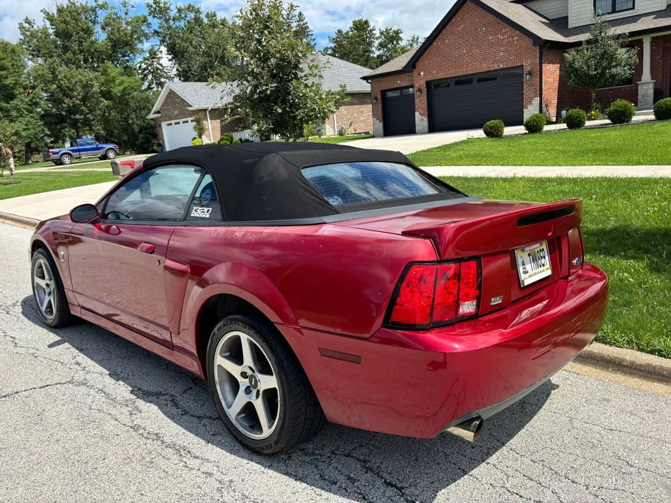 2003 Ford SN95 Mustang Cobra - Image 10 of 19