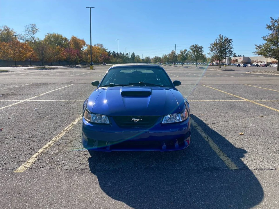2003 Ford SN95 Mustang - Image 7 of 13