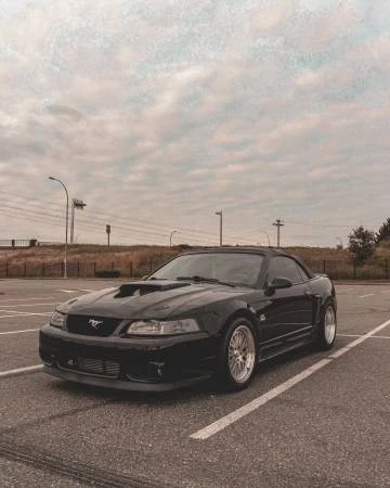 2003 Ford SN95 Mustang - Image 7 of 19