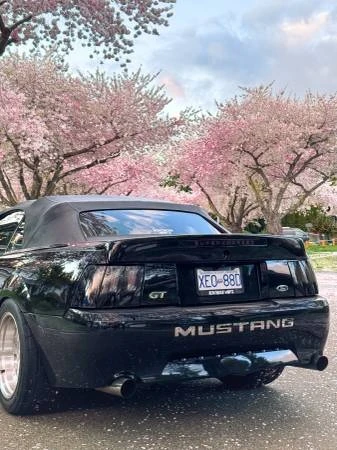 2003 Ford SN95 Mustang - Image 5 of 19