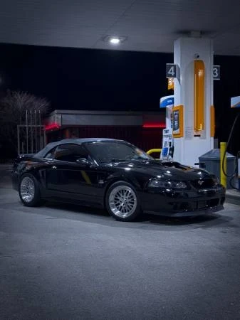 2003 Ford SN95 Mustang - Image 11 of 19