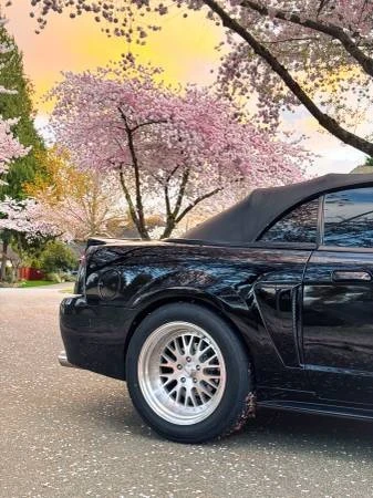 2003 Ford SN95 Mustang - Image 3 of 19