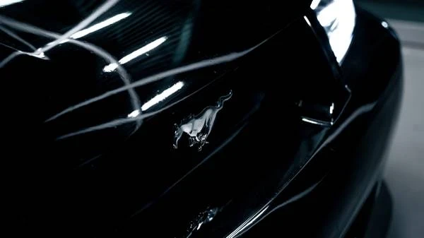 2003 Ford SN95 Mustang - Image 15 of 19