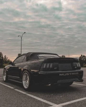 2003 Ford SN95 Mustang - Image 6 of 19