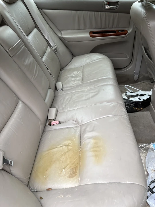 2003 Toyota Camry 5th Gen - Image 15 of 19