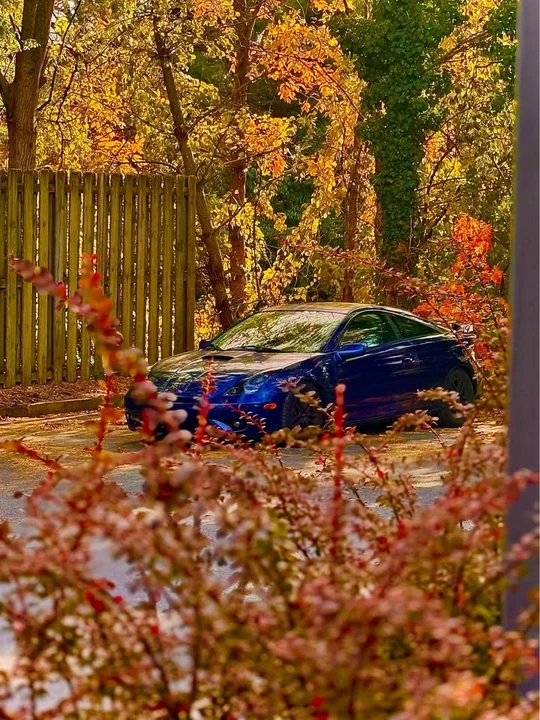 2003 Toyota Celica 7th Gen - Image 8 of 13
