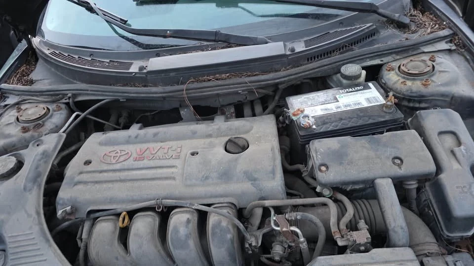 2003 Toyota Celica 7th Gen - Image 6 of 6