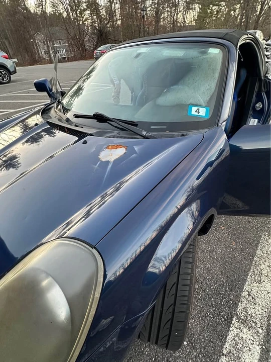 2002 Toyota MR2 Spyder/MR-S - Image 13 of 13