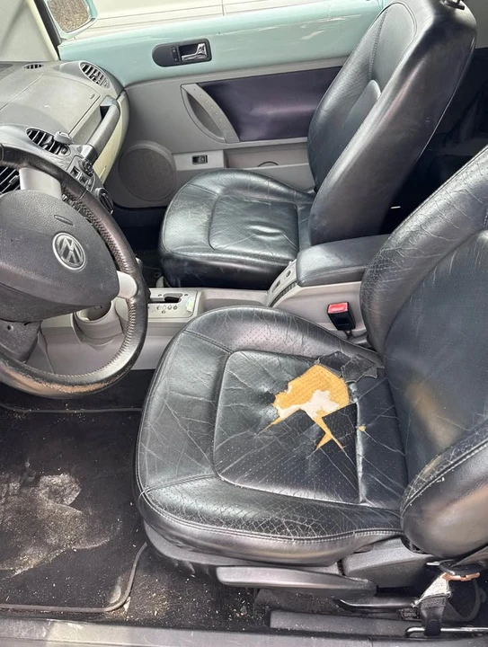2003 Volkswagen New Beetle - Image 5 of 6