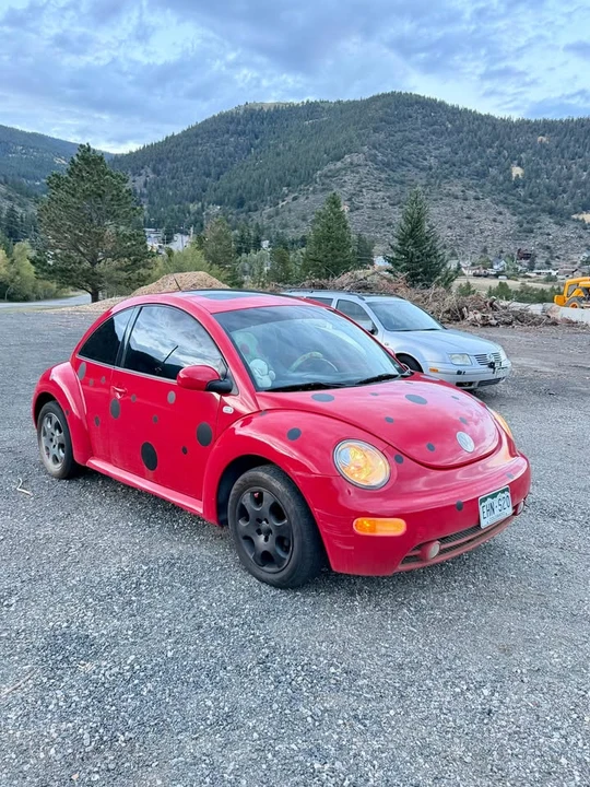2003 Volkswagen New Beetle - Image 4 of 10