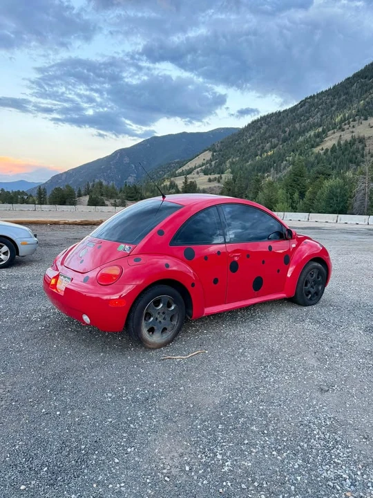 2003 Volkswagen New Beetle - Image 5 of 10