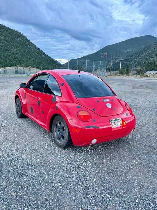 2003 Volkswagen New Beetle - Image 6 of 10