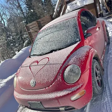 2003 Volkswagen Beetle TDI