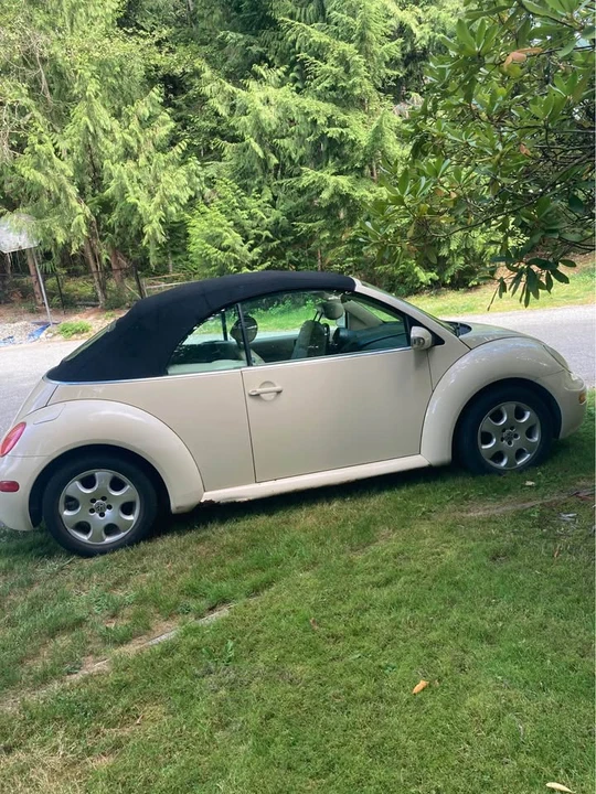 2003 Volkswagen Beetle (1980-2003) - Image 3 of 4