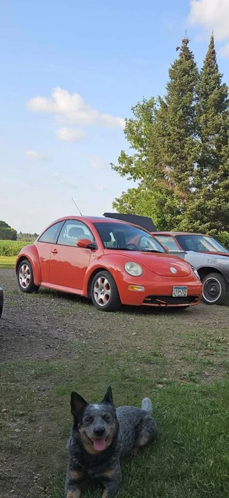 2003 Volkswagen New Beetle - Image 4 of 6