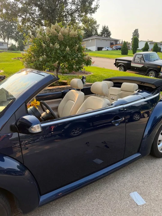 2003 Volkswagen New Beetle - Image 10 of 12