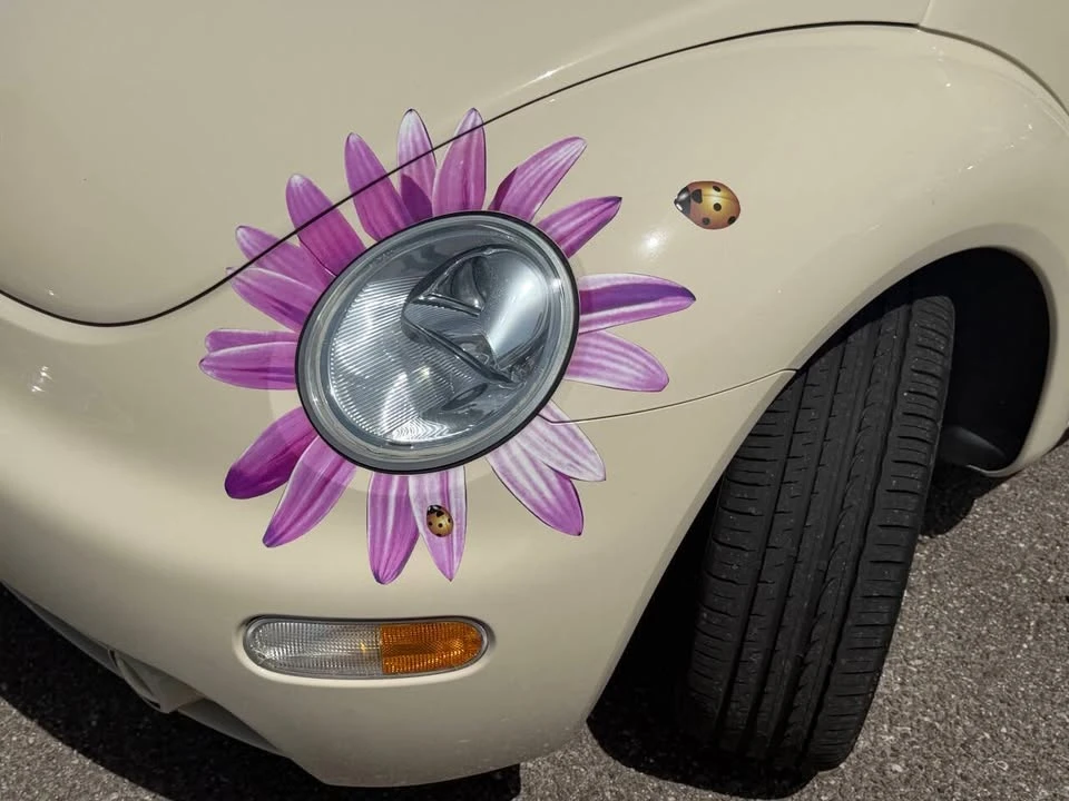 2003 Volkswagen New Beetle - Image 14 of 20